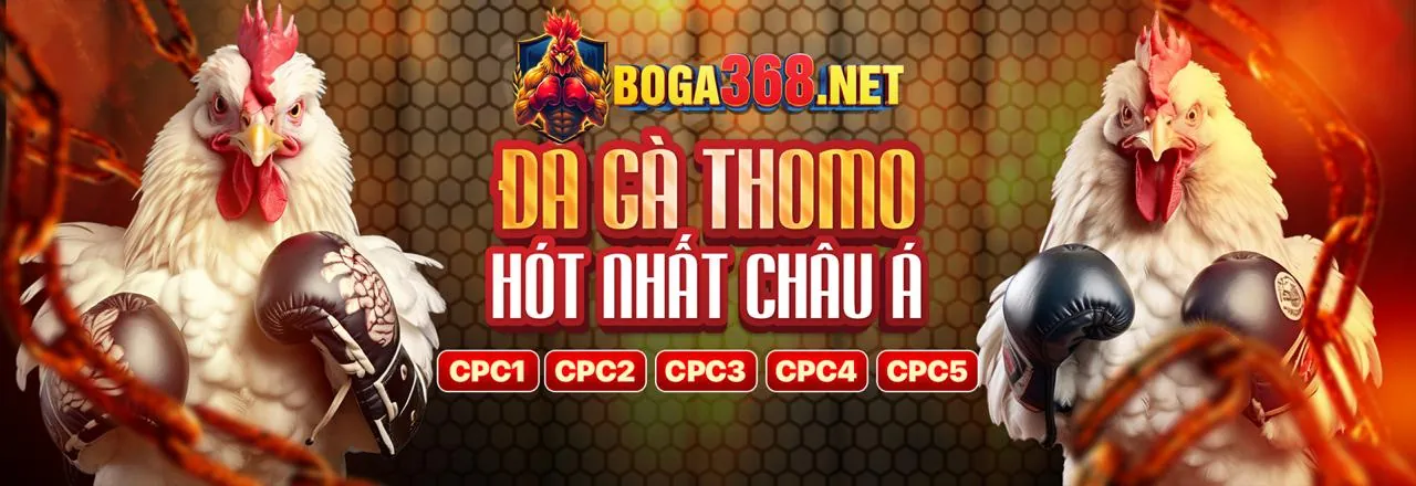 Đá Gà Trực Tuyến onbet88