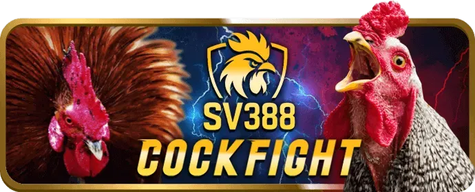 Cá cược Thể Thao ONBET88